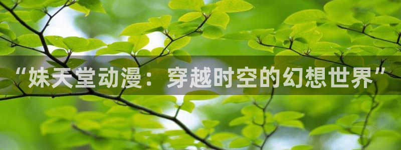 男人动漫天堂在线